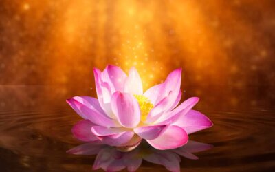 Shadows to Light India – Date TBA